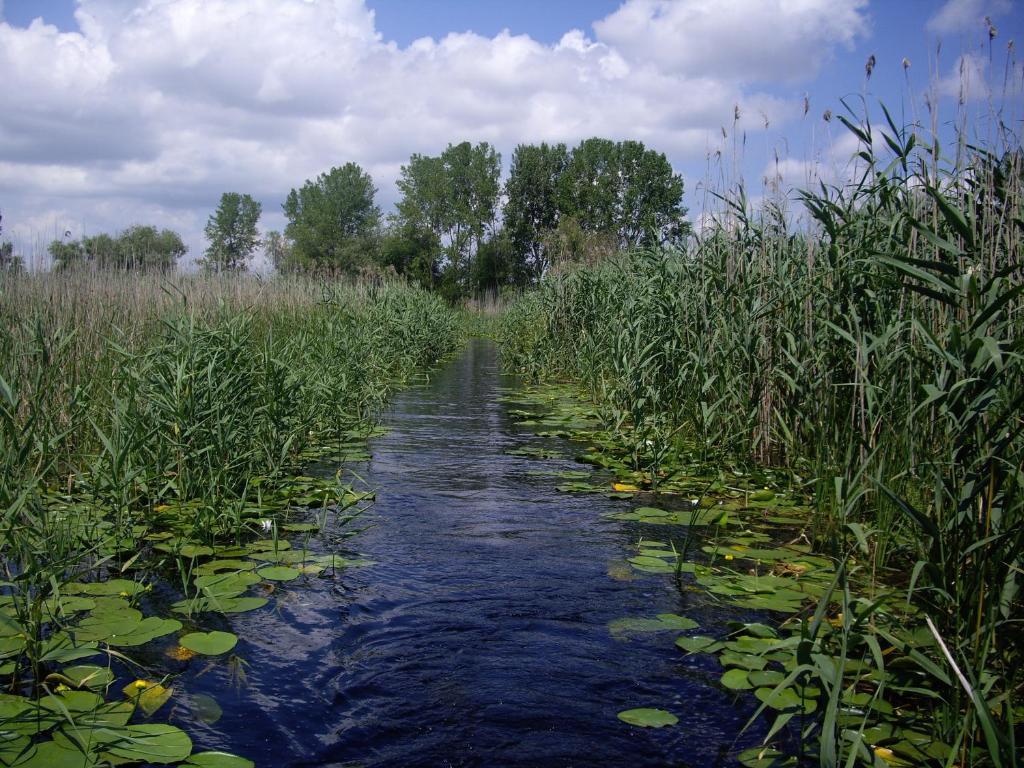 Pensiune Alga Sulina